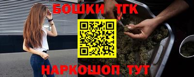 индика Краснознаменск