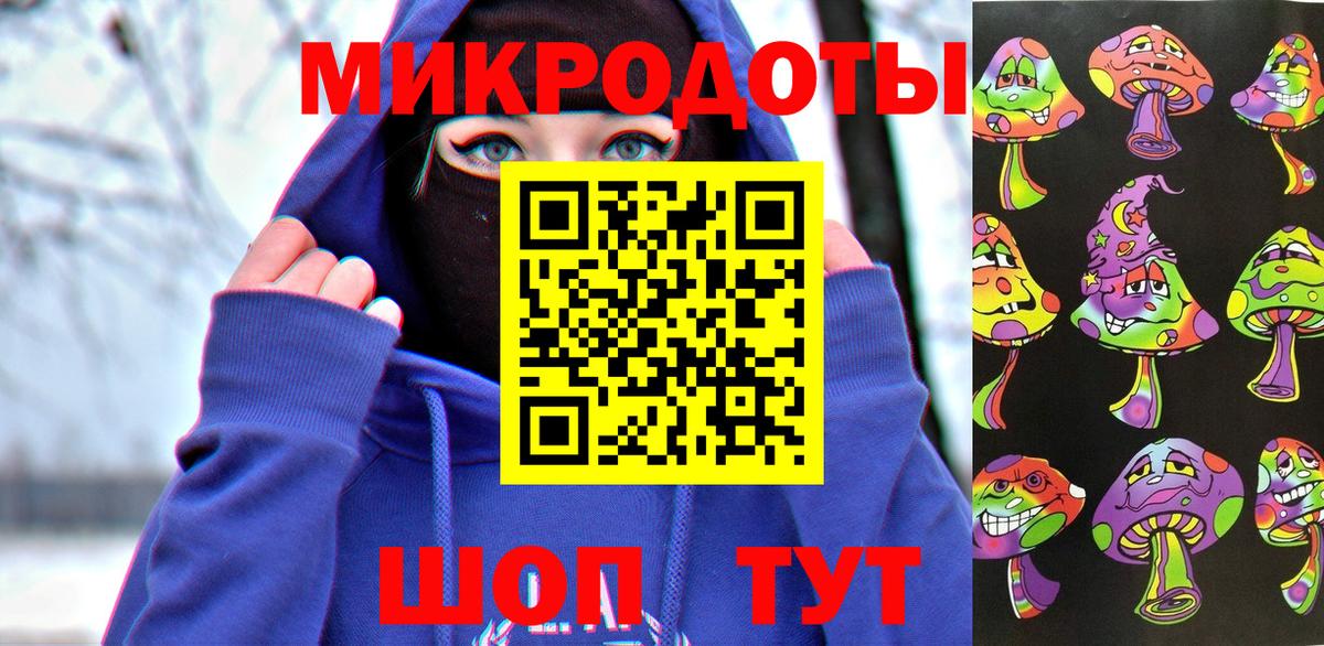 Галлюциногенные грибы Psilocybe Карпинск